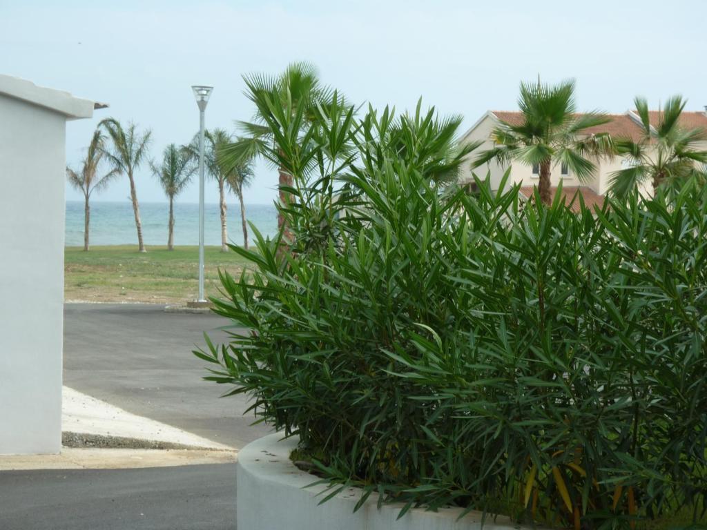 Residence Marea Resort Santa-Lucia-di-Moriani Exteriör bild